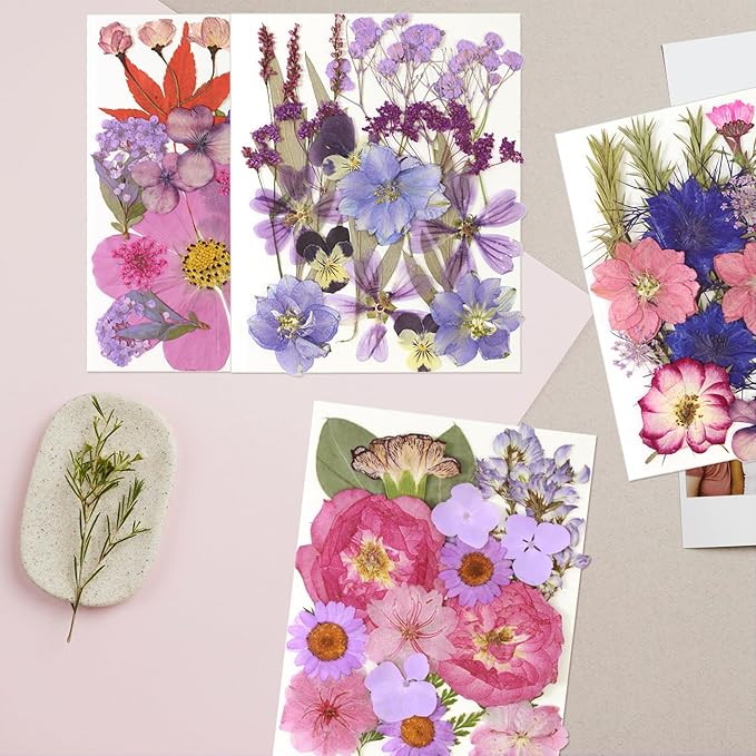 CONVELIFE Dried Flowers for Resin, Vacuum Packed DIY Pressed Flowers for Epoxy, Jewelry, Candles, Soap, Nail Production (80PCS Purple Dried Flowers)