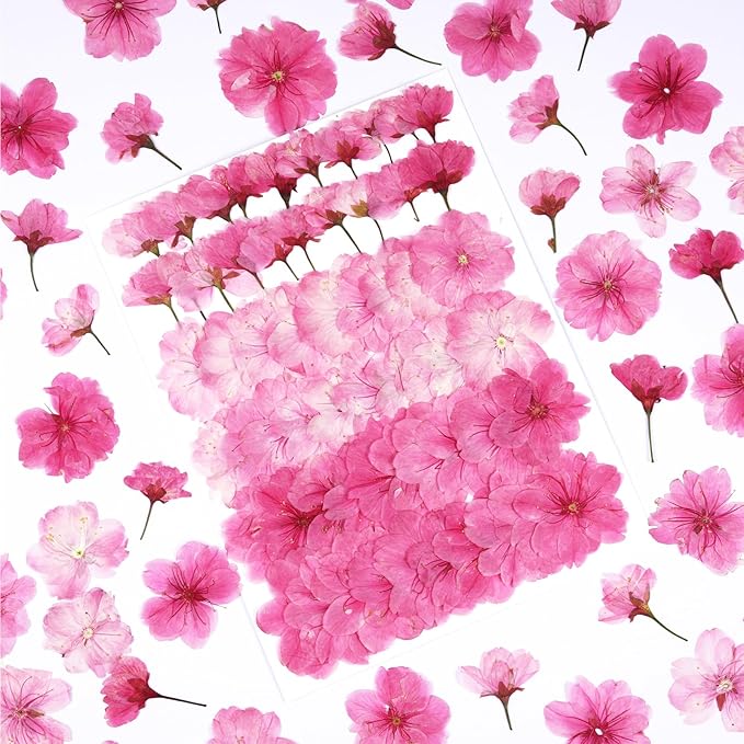 60Pcs Cherry Blossom Dried Pressed Flowers for Crafts,Xinxinran Edible Flowers for Cake Decorating,Resin Molds,Bookmark,Jewelry Molds,Candle Making Supplies,Soap,Frame(Pink)
