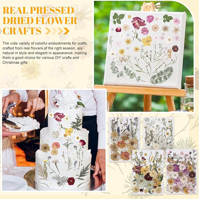 Nuanchu 200 Pcs Pressed Flowers Bulk Dried Flower for Craft Resin Mold Bookmark Scrapbooking Nail Cake White Orange Natural Pressed Dried Floral with Tweezer DIY Gift(Classic Color,Retro Style)