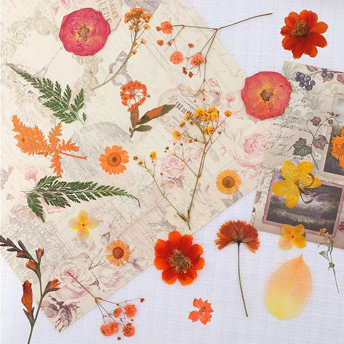 Dried Pressed Flowers Real Pressed Flowers Natural Dry Leaves Bulk Mixed Colorful Herbs Kit with Tweezers for Scrapbooking DIY Candle Jewelry Crafts Making Nails (Orange)