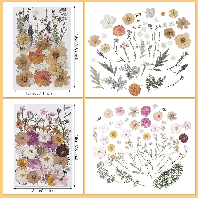 Nuanchu 200 Pcs Pressed Flowers Bulk Dried Flower for Craft Resin Mold Bookmark Scrapbooking Nail Cake White Orange Natural Pressed Dried Floral with Tweezer DIY Gift(Classic Color,Retro Style)