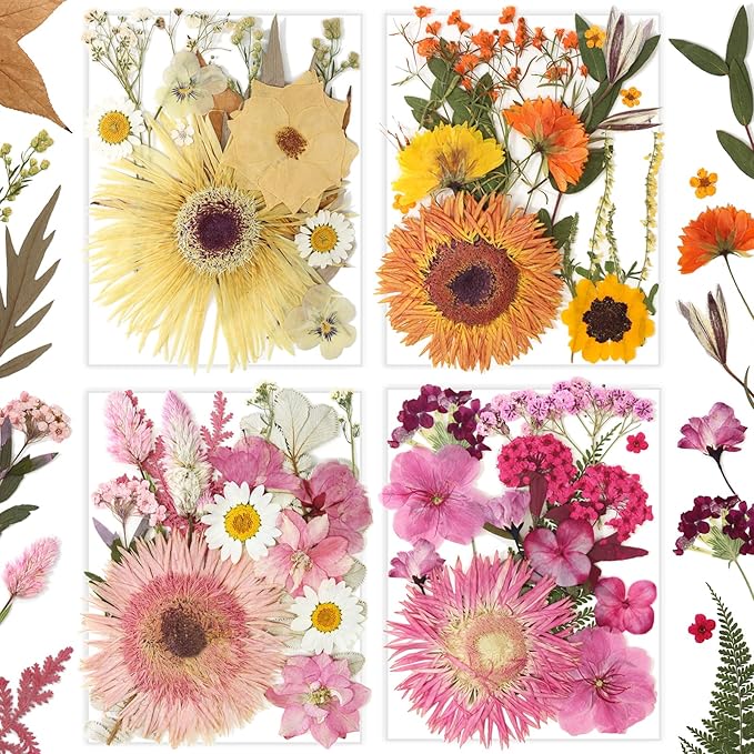 34 Types 60PCS Real Dried Pressed Flowers Leaf Plant Herbarium for DIY Resin Jewelry Making Floral Decors Candle Soap Scrapbook Supplies Card
