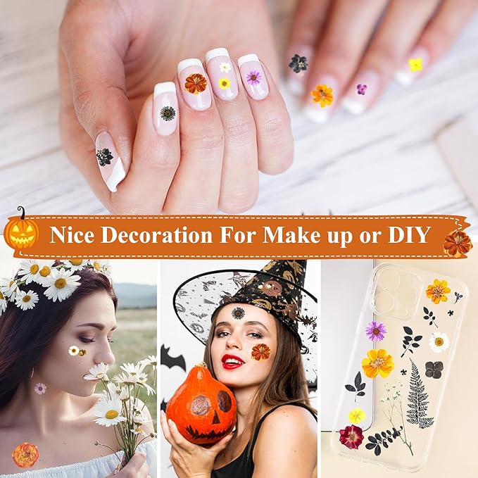 Nuanchu 167 Pcs Real Dried Pressed Flowers Natural Dried Flowers Colorful Daisy Mixed Wildflowers Leave for DIY Candle Resin Nails Jewelry Pendant Crafts Floral Art(Multicolor,Scary Style)