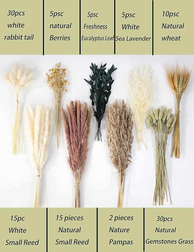 xin's convey 126pcs Dried Pampas Grass Decorations, Dried Flowers Bouquet, Reed Grass Bouquet for Boho Floral Wedding, Bedroom, Rustic Farmhouse Decor.