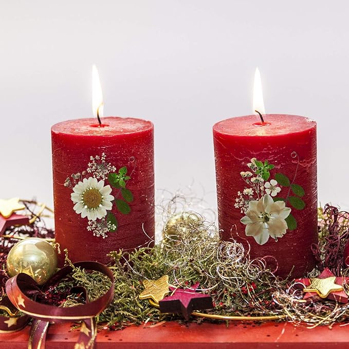 Nuanchu 81 Pieces Pressed Flowers Bulk White Dried Flowers for Resin Mold, Dried Leave Natural with Tweezer for Crafts Spring DIY Gift Scrapbooking