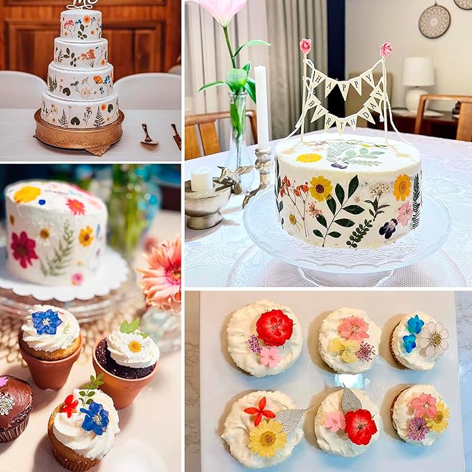 BIHRTC 100pcs Blue Dried Flowers for Resin Molds Red Real Dry Natural Flower Leaf Daisy for Scrapbooking DIY Candle Accessories Jewelry Crafts Making DIY Art Crafts Cake Decor