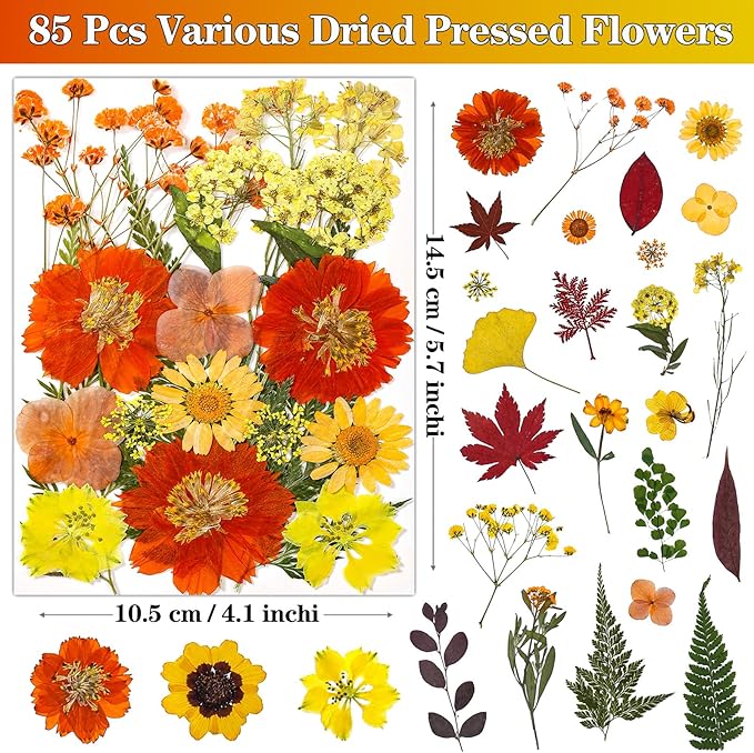 85Pcs Dried Flowers for Crafts, Natural Pressed Flowers for Crafts Real Dried Pressed Flowers Dry Leaves in Orange & Yellow for Resin, DIY Art, Scrapbook, Jewelry, Candle & Soap Making w/ Tweezer