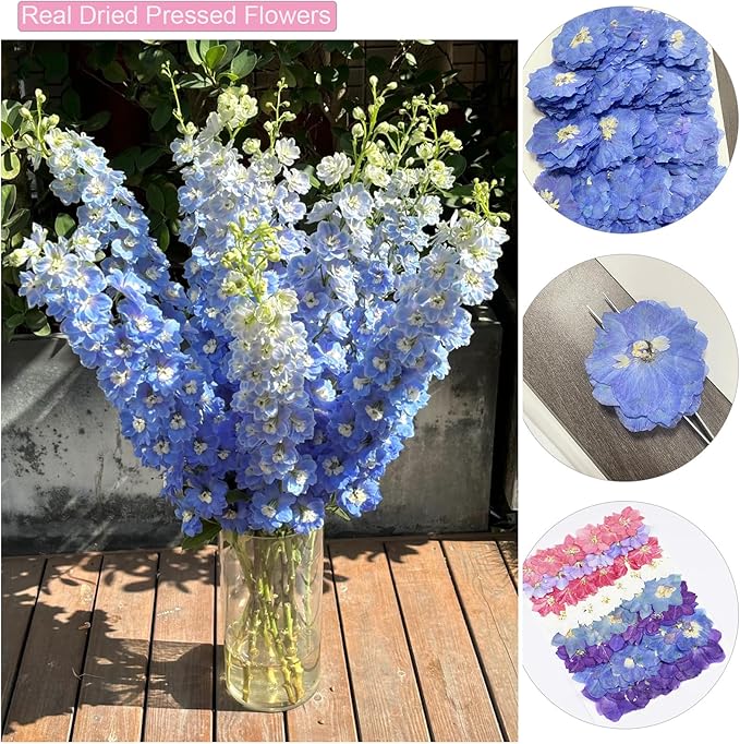 48Pcs Lankspur Dried Pressed Flowers for Crafts,Xinxinran Dry Edible Flower for Cake Decorating,Resin Molds,Bookmark,Jewelry Molds,Candle Making Supplies,Soap,Frame(8 Color)