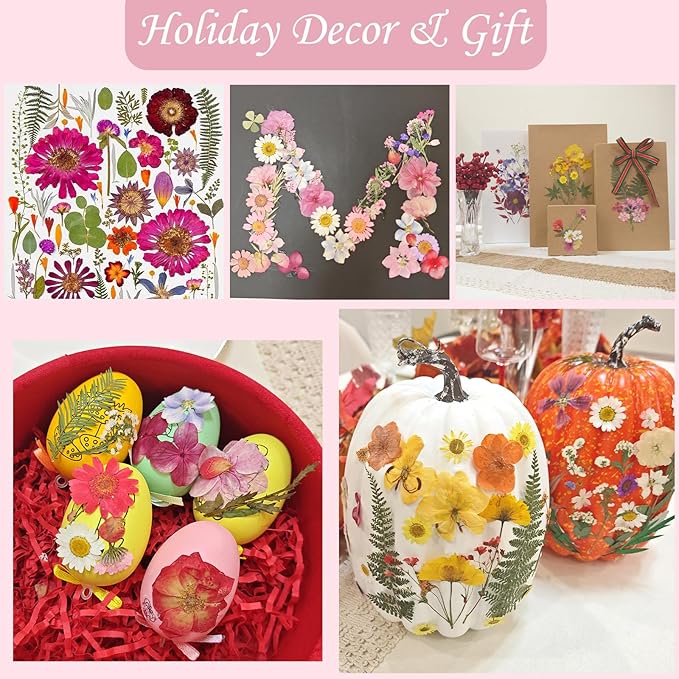 LUXEEASE 100 Pcs Large Dried Pressed Flowers for Crafts, Real Natural Flowers in Vibrant Colors for Resin, DIY Art, Jewelry & Soap Making – Tweezers Included