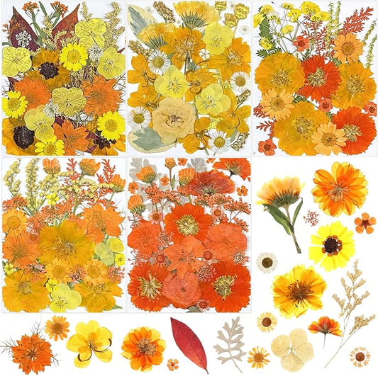 Nuanchu 167 Pcs Real Dried Pressed Flowers Natural Dried Flowers Colorful Daisy Mixed Wildflowers Leave for DIY Candle Resin Nails Jewelry Pendant Crafts Floral Art(Yellow,Bright Style)