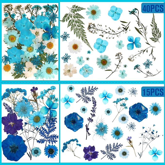 Nuanchu 167 Pcs Real Dried Pressed Flowers Natural Dried Flowers Colorful Daisy Mixed Wildflowers Leave for DIY Candle Resin Nails Jewelry Pendant Crafts Floral Art(Blue,Novelty Style)