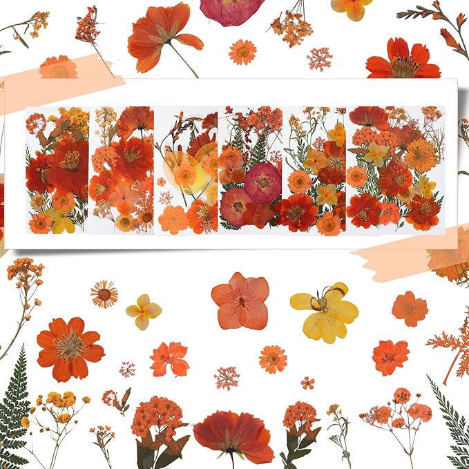 Dried Pressed Flowers Real Pressed Flowers Natural Dry Leaves Bulk Mixed Colorful Herbs Kit with Tweezers for Scrapbooking DIY Candle Jewelry Crafts Making Nails (Orange)