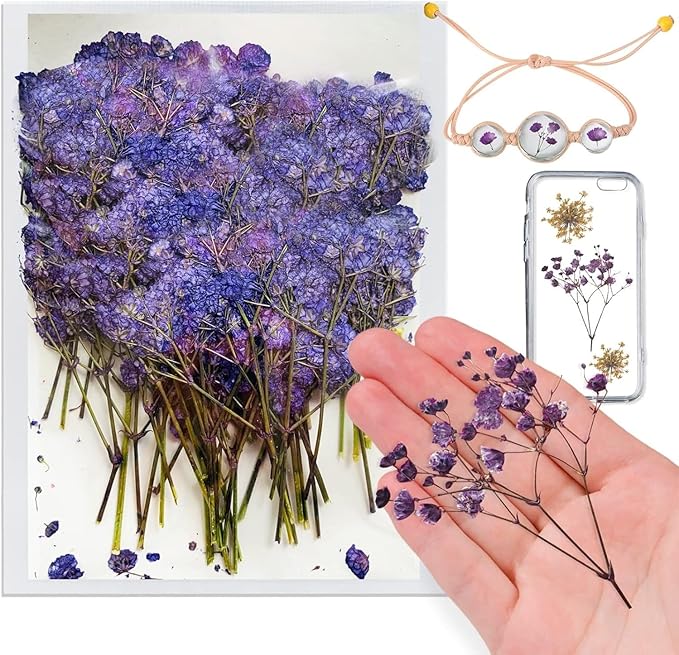 Dried Pressed Gypsophila Flowers with Stem, 42PCS Purple Natural Real Dried Pressed Babysbreath Flowers Dry Flowers for Resin Jewelry DIY Phone Case Decor Crafts Candle Making