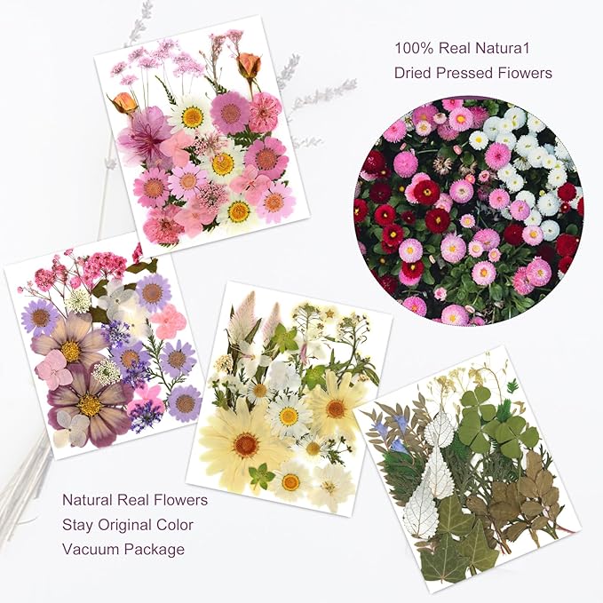 104Pcs Natural Pressed Dried Flowers Resin, Dry Flowers for Resin Accessories, Dried Flower for Scrapbooking DIY Art Crafts, Epoxy Resin Jewelry Molds, Candle, Soap Making, Craft Making