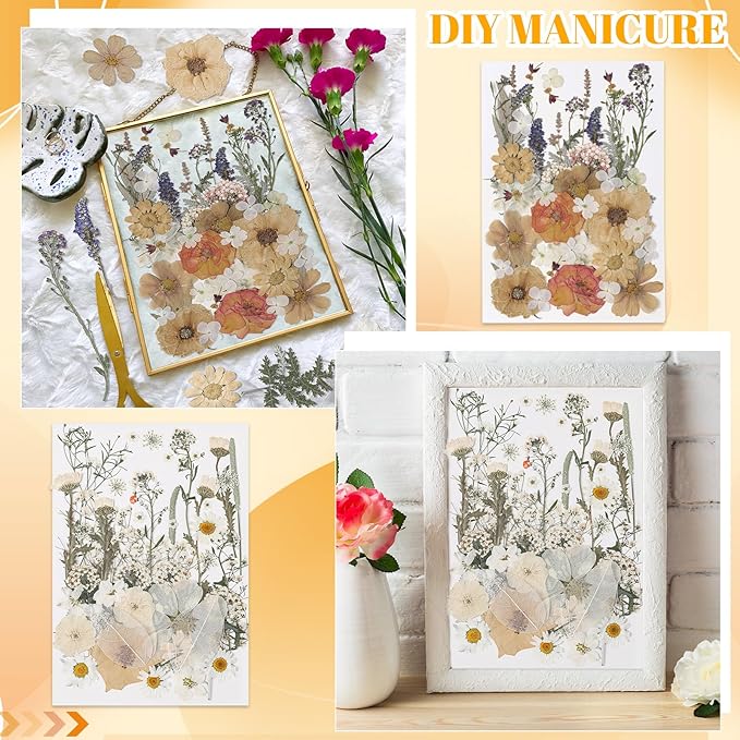 Nuanchu 200 Pcs Pressed Flowers Bulk Dried Flower for Craft Resin Mold Bookmark Scrapbooking Nail Cake White Orange Natural Pressed Dried Floral with Tweezer DIY Gift(Classic Color,Retro Style)
