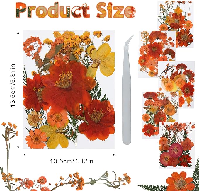 Dried Pressed Flowers Real Pressed Flowers Natural Dry Leaves Bulk Mixed Colorful Herbs Kit with Tweezers for Scrapbooking DIY Candle Jewelry Crafts Making Nails (Orange)