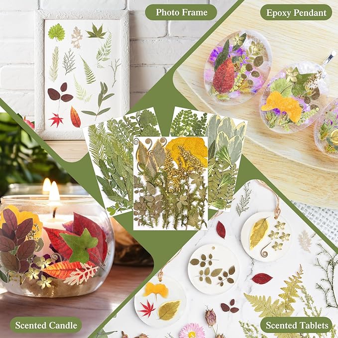 Nuanchu 167 Pcs Real Dried Pressed Flowers Natural Dried Flowers Colorful Daisy Mixed Wildflowers Leave for DIY Candle Resin Nails Jewelry Pendant Crafts Floral Art(Green,Fresh Style)