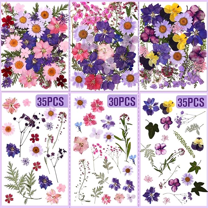 Nuanchu 167 Pcs Real Dried Pressed Flowers Natural Dried Flowers Colorful Daisy Mixed Wildflowers Leave for DIY Candle Resin Nails Jewelry Pendant Crafts Floral Art(Purple,Elegant Style)