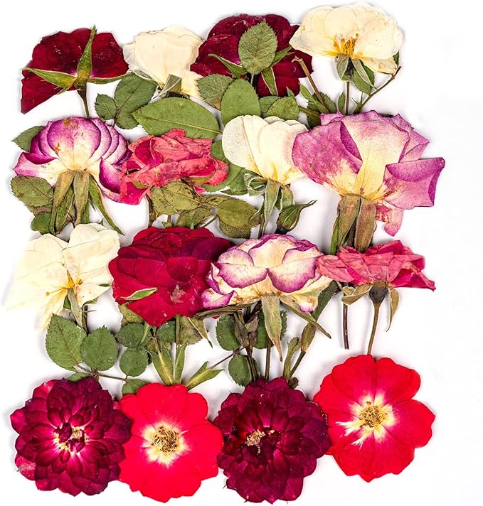 16 Pcs Dried Pressed Flowers, Nauture Pressed Rose, Multi Color Dry Rose, Real Pressed Flora for DIY Jewelry Candle Soap Vase Making Nail Card Scrapbook Art Craft Floral Decors