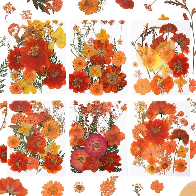 Dried Pressed Flowers Real Pressed Flowers Natural Dry Leaves Bulk Mixed Colorful Herbs Kit with Tweezers for Scrapbooking DIY Candle Jewelry Crafts Making Nails (Orange)