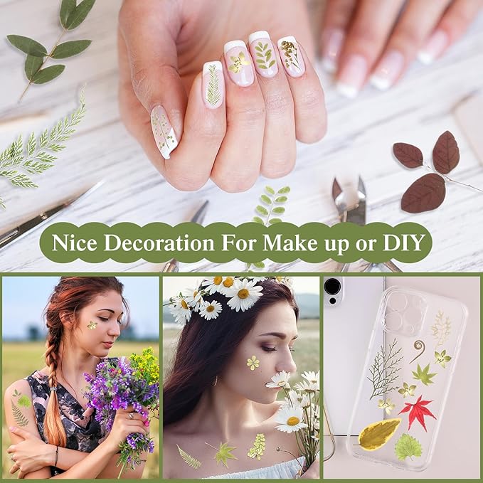 Nuanchu 167 Pcs Real Dried Pressed Flowers Natural Dried Flowers Colorful Daisy Mixed Wildflowers Leave for DIY Candle Resin Nails Jewelry Pendant Crafts Floral Art(Green,Fresh Style)