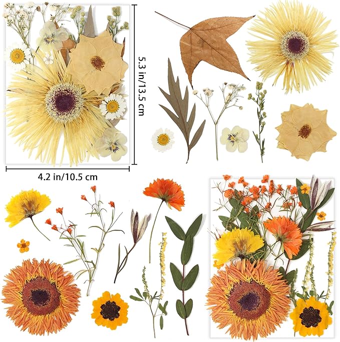 34 Types 60PCS Real Dried Pressed Flowers Leaf Plant Herbarium for DIY Resin Jewelry Making Floral Decors Candle Soap Scrapbook Supplies Card