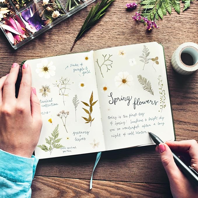 Nuanchu 167 Pcs Real Dried Pressed Flowers Natural Dried Flowers Colorful Daisy Mixed Wildflowers Leave for DIY Candle Resin Nails Jewelry Pendant Crafts Floral Art (White,Pure Style)