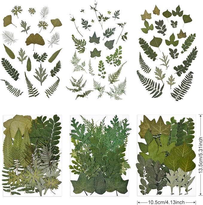 DALARAN 63 PCS Natural Dried Leaves Pressed Leaves Dried Pressed Flowers for Crafts Soap Making Candle Making and Resin Jewelry Making Pressed Flower Art Floral Decors