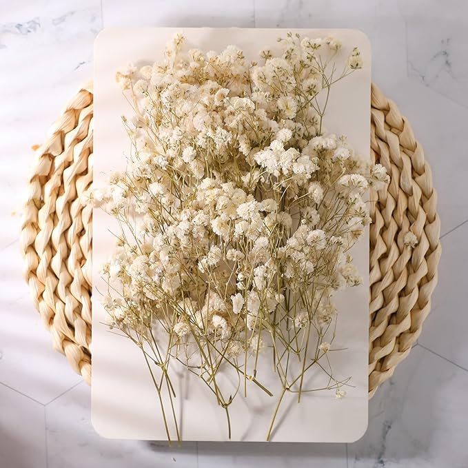 Fumete 300 Pcs Mini Dried Baby Breath Flowers Wedding Ivory Natural Flowers Bulk Dried Gypsophila for Vase Bride Shower Invitation Card DIY Candle Making Decor Craft Party Resin Art, 2-4 in