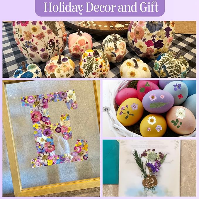 85Pcs Pressed Flowers for Crafts, Pink Purple Dried Flowers for Crafts Real Natural Dried Pressed Flowers Dry Leaves Bulk for Resin, DIY Art, Scrapbook, Jewelry, Card, Candle & Soap Making w/ Tweezer