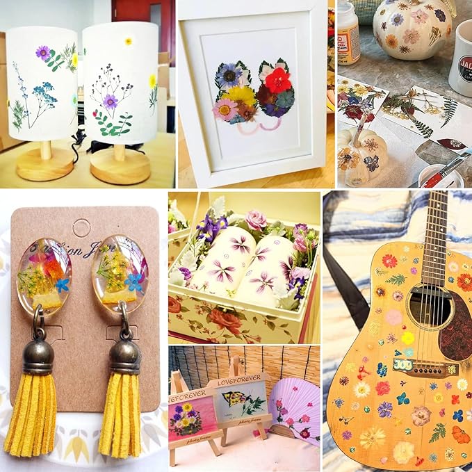 BIHRTC 100pcs Dried Pressed Flowers Red Real Pressed Colorful Flowers Dry Natural Leaves for Scrapbooking DIY Candle Accessories Jewelry Crafts Making DIY Art Crafts Cake Decor