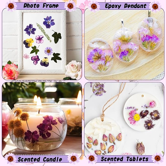Nuanchu 167 Pcs Real Dried Pressed Flowers Natural Dried Flowers Colorful Daisy Mixed Wildflowers Leave for DIY Candle Resin Nails Jewelry Pendant Crafts Floral Art(Purple,Elegant Style)