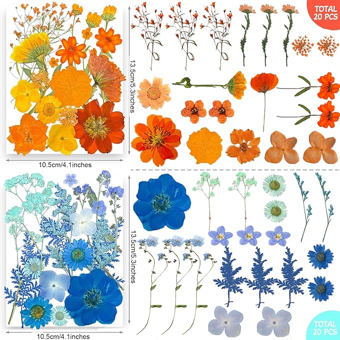 TrendCart 301Pcs Multi-Style Dried Pressed Flowers & Leaves (10 Packs) - Pressed Flower for Crafts, Resin, Nail Art, Candle, Soap, Scrapbooking & Frame Decor