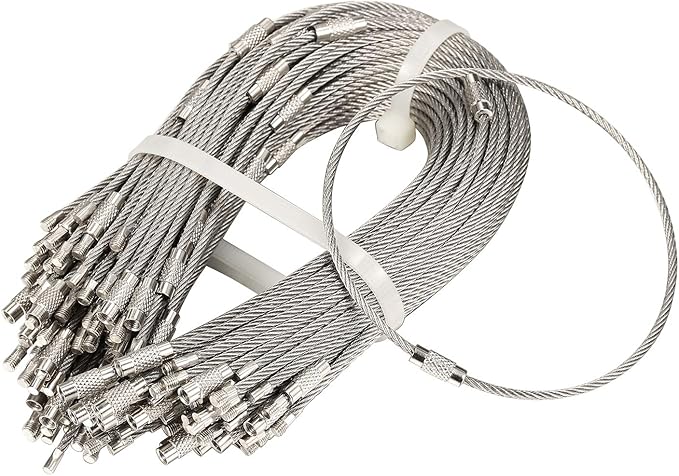 bayite Pack (100) Stainless Steel Wire Keychains Cable, Key Rings, Heavy Duty Luggage Tags Loops Tag Keepers 2mm Twist Barrel (Cable Length: 10 inches)
