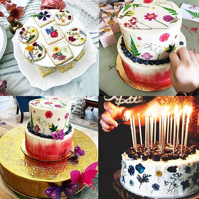 BIHRTC 100PCS Dried Flowers for Resin Real Dry Flower Natural Pressed Died Leaves Sunflowers Chrysanthemum Resin Small Colorful Pressed Flowers Daisies for Candle Jewelry Nail Pendant Making