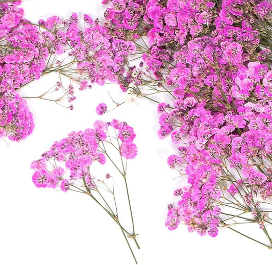 50 Pcs Baby's Breath Real Natural Dried Pressed Flowers for Wedding DIY Crafts Home Decor Resin Art Card Making Vase Arrangements ( Pink)