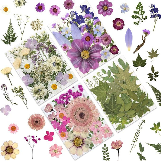 80 Pcs Dried Pressed Flowers for Crafts, Natural with Vibrant Colors & Various Shapes, Exquisite Arrangement for Resin, DIY, Jewelry, Candle & Soap Making – Tweezers Included