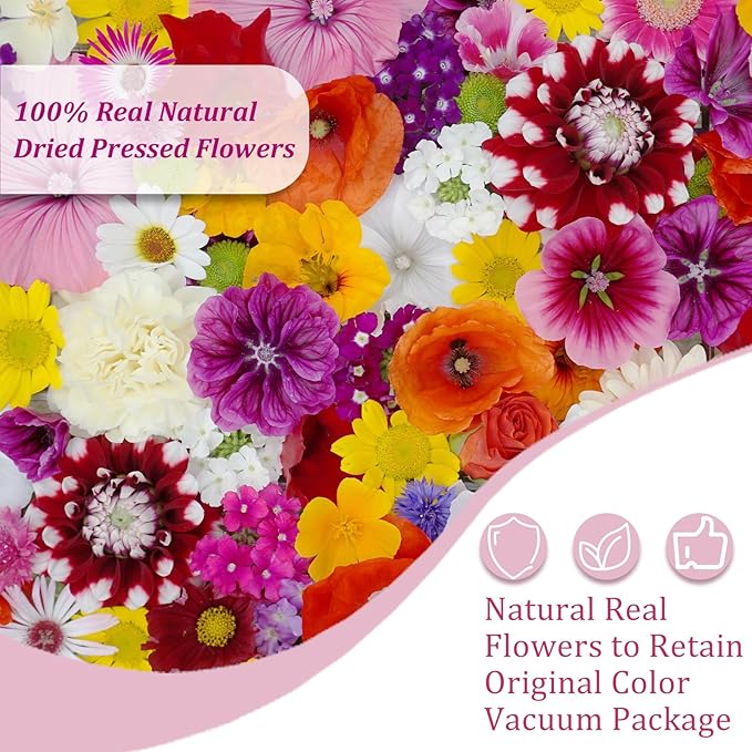 Eshow 113Pcs Dried Pressed Flowers for Crafts, Natural Dry Flowers for Resin with Tweezer for Scrapbooking DIY Art Crafts, Epoxy Jewelry Molds, Candle, Soap Making