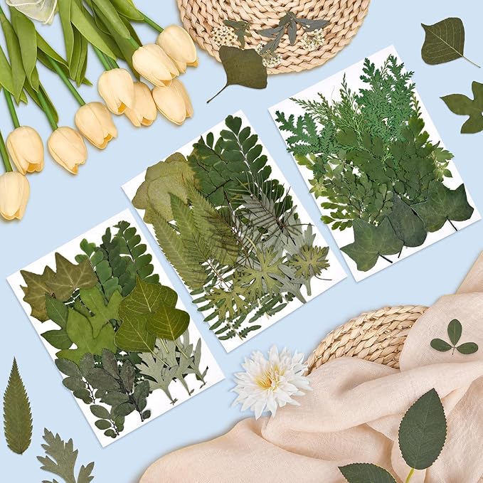 DALARAN 63 PCS Natural Dried Leaves Pressed Leaves Dried Pressed Flowers for Crafts Soap Making Candle Making and Resin Jewelry Making Pressed Flower Art Floral Decors