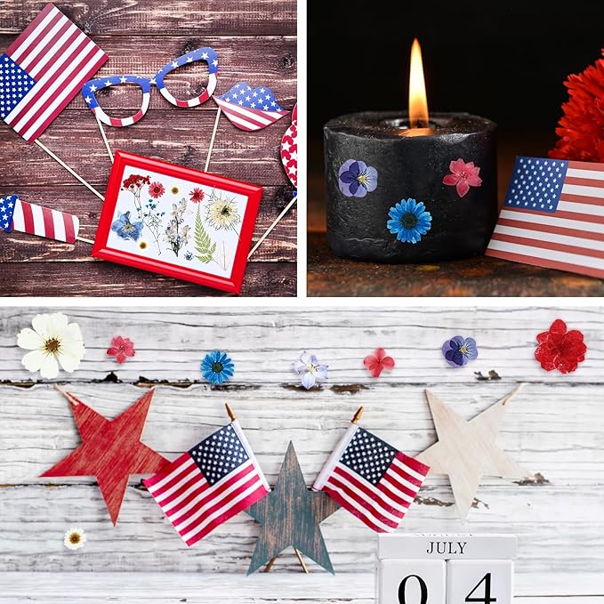 Nuanchu 167 Pcs Real Dried Pressed Flowers Natural Dried Flowers Colorful Daisy Mixed Wildflowers Leave for DIY Candle Resin Nails Jewelry Pendant Crafts Floral Art (Multicolor,Formal Style)