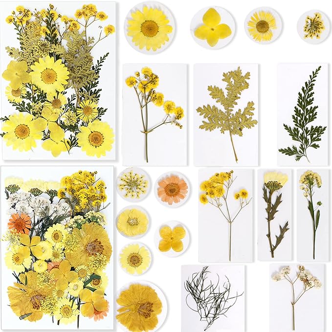 BIHRTC 100PCS Dried Pressed Flowers Assorted Real Dried Pressed Leaves Natural Colorful Real Dry Flowers Leaves for Resin Scrapbooking DIY Candle Accessories Jewelry Crafts Making