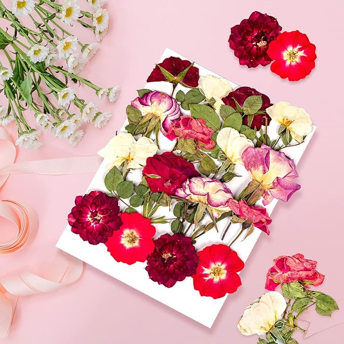 16 Pcs Dried Pressed Flowers, Nauture Pressed Rose, Multi Color Dry Rose, Real Pressed Flora for DIY Jewelry Candle Soap Vase Making Nail Card Scrapbook Art Craft Floral Decors
