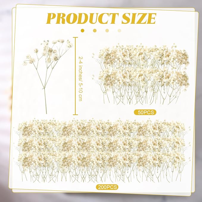 Fumete 200 Pcs Mini Dried Baby Breath Flowers Wedding Ivory Natural Flowers Bulk Dried Gypsophila for Vase Bride Shower Invitation Card DIY Candle Making Decor Craft Party Resin Art, 2-4 in