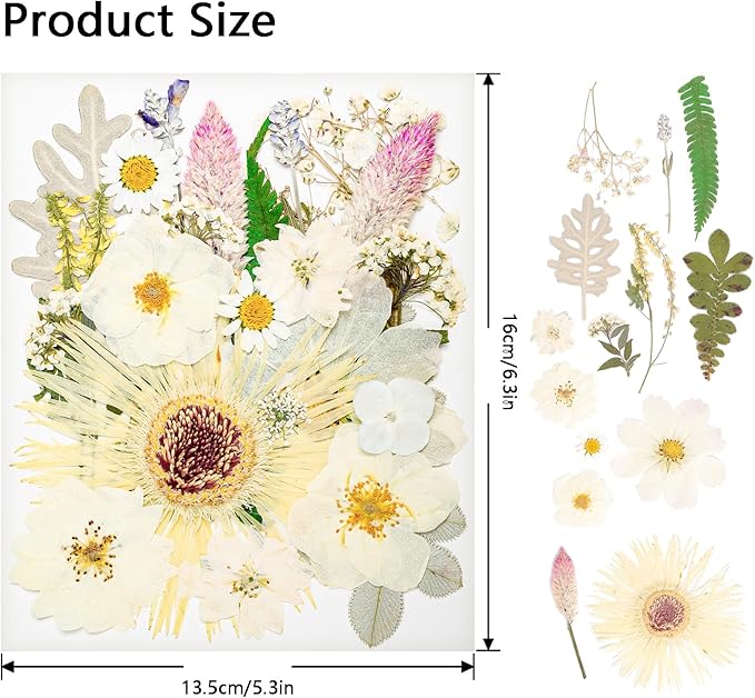 50Pcs Dried Pressed Flowers Real Pressed Flowers Natural Dry Leaves Bulk Mixed Colorful Herbs Kit with Tweezers for Scrapbooking DIY Candle Jewelry Crafts Making Nails (White)