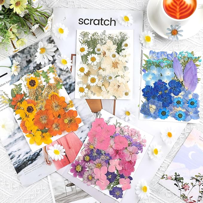 Nuanchu 200 Pcs Pressed Flowers Bulk Dried Flower for Craft Resin Mold Bookmark Scrapbooking Nail Cake White Orange Natural Pressed Dried Floral with Tweezer DIY Gift(Mixed Color,Artistic Style)