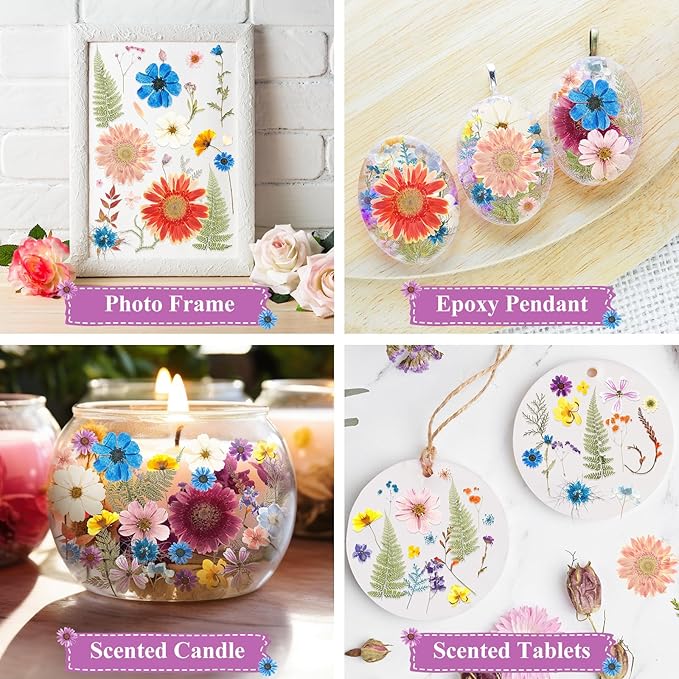 Nuanchu 167 Pcs Real Dried Pressed Flowers Natural Dried Flowers Colorful Daisy Mixed Wildflowers Leave for DIY Candle Resin Nails Jewelry Pendant Crafts Floral Art(Rainbow,Classic Style)