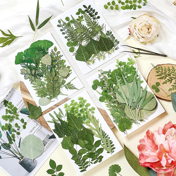 86Pcs Dried Pressed Flowers Leaves for Crafts, Real Natural Dried Leaves Pressed Leaves Bulk Dry Leaves for Resin, DIY Art, Jewelry, Candle & Soap Making, Scrapbook Bookmarks Ideas – Tweezers Included