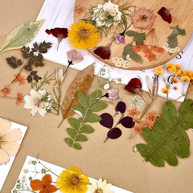 DALARAN 95Pcs Fall Dried Pressed Flowers for Resin Molds Real Pressed Flowers Dry Leaves Kit for Art Crafts Resin Jewelry Making Scrapbook Supplies Card Making Soap Candle DIY