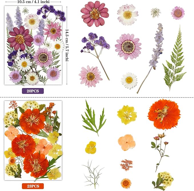 85Pcs Pressed Flowers for Crafts, Colorful Dried Flowers for Crafts Real Natural Dried Pressed Flowers Dry Leaves Bulk for Resin, DIY Art, Scrapbook, Jewelry, Card, Candle & Soap Making with Tweezers