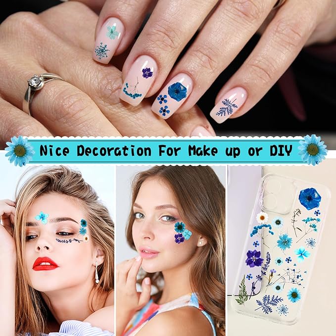 Nuanchu 167 Pcs Real Dried Pressed Flowers Natural Dried Flowers Colorful Daisy Mixed Wildflowers Leave for DIY Candle Resin Nails Jewelry Pendant Crafts Floral Art(Blue,Novelty Style)